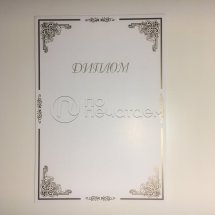 Диплом под печать в принтере